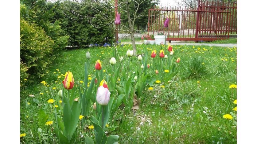 Apartman Vrane Vrane nad Vltavou Bagian luar foto