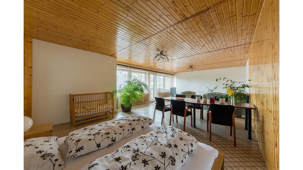 Apartman Vrane Vrane nad Vltavou Bagian luar foto